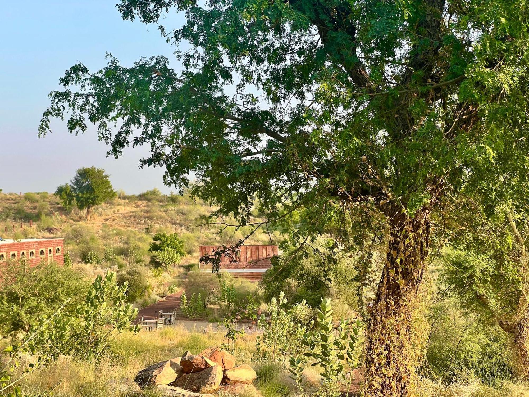 Kaner Retreat - India'S First Desert Botanical Resort Shaitrawa Exterior photo